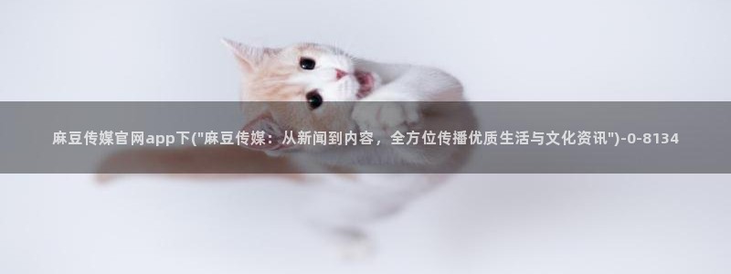 麻豆视频图片规则