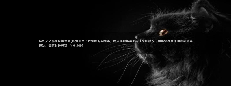 麻豆资源导航