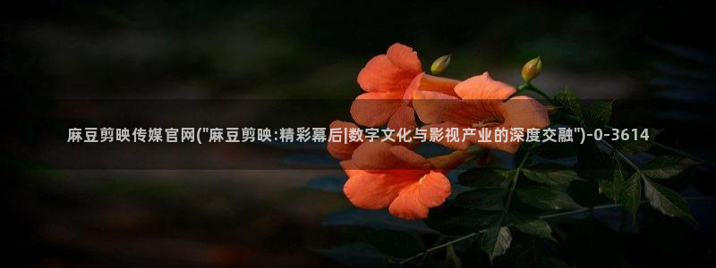 麻豆视频文章标题