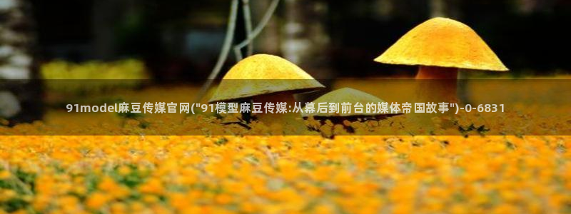 麻豆视频更新