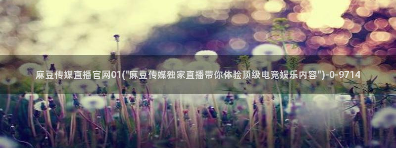 麻豆新片描述：麻豆传媒直播官网01(\
