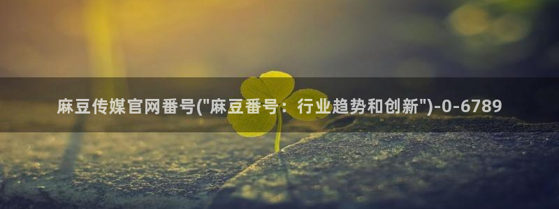 麻豆资料页：麻豆传媒官网番号(\