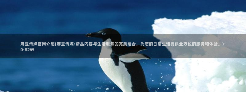 麻豆专题页