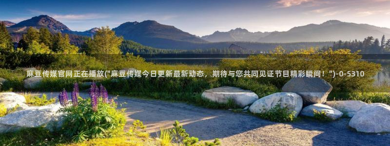 麻豆内容模板
