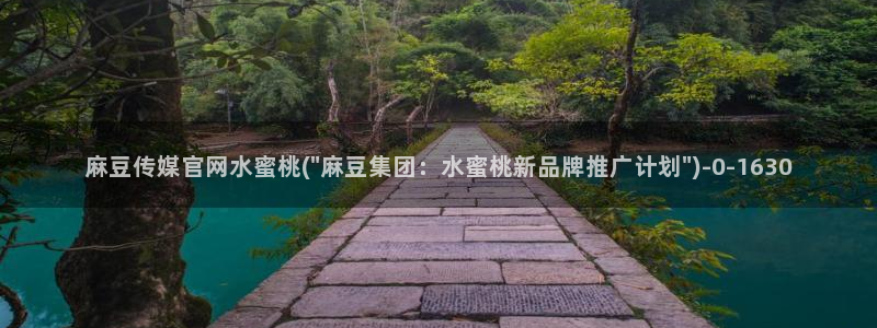麻豆视频文章内容：麻豆传媒官网水蜜桃(\