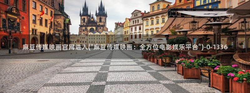 麻豆视频资源站文案