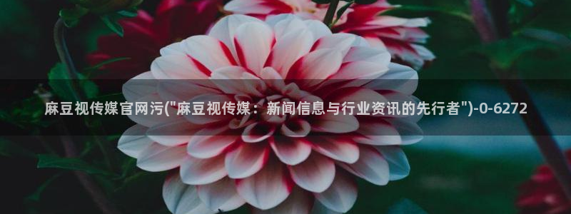 麻豆剧情视频