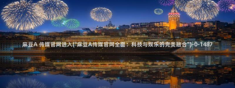 麻豆视频入口