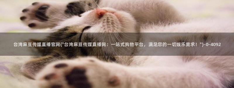 麻豆视频合集整理