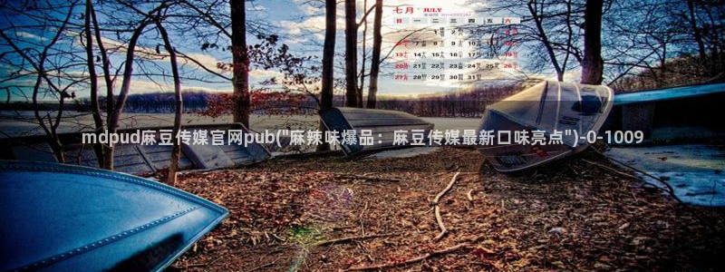 麻豆视频大全