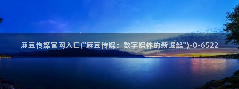 麻豆视频点评