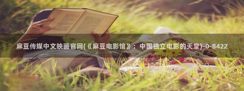 麻豆标题优化