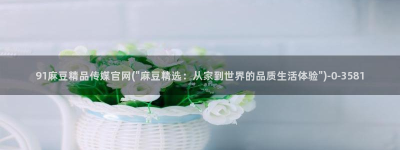 麻豆视频描述规则