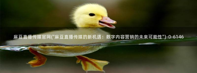 麻豆传媒演员