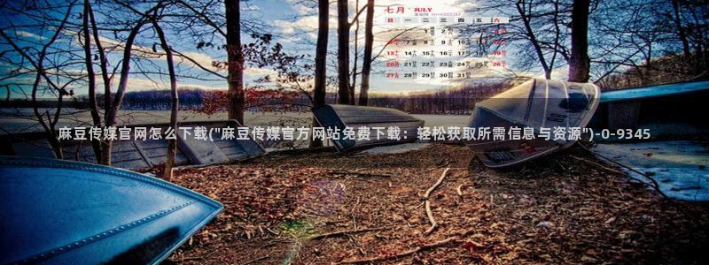 麻豆视频栏目规划