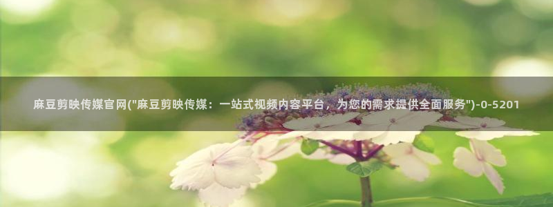 麻豆新片