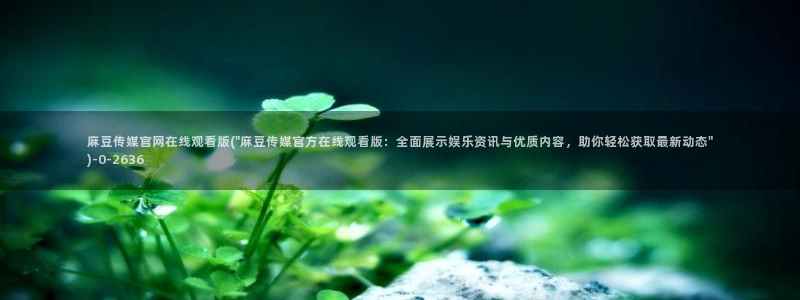 麻豆都市剧情