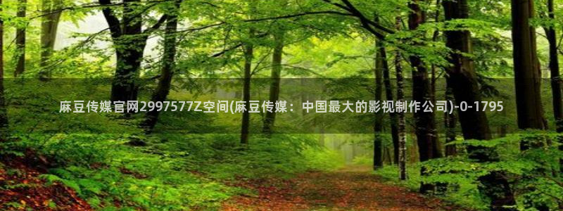 麻豆视频在线观看