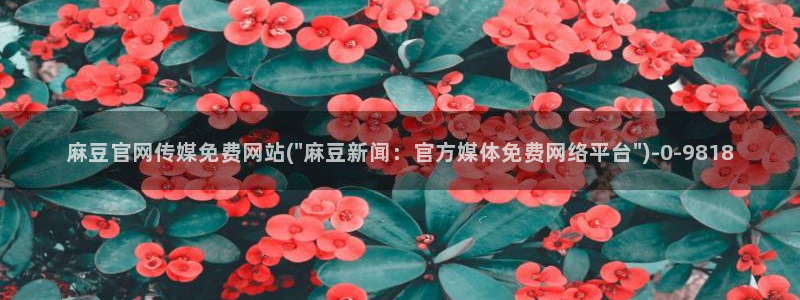 麻豆演员