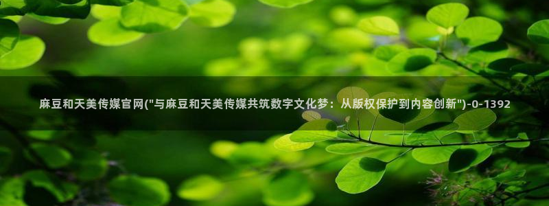 麻豆精选描述