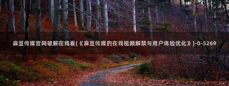 麻豆人物关系