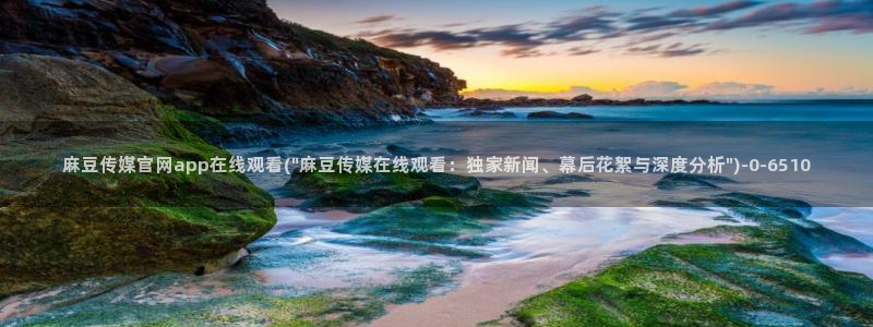 麻豆视频标签
