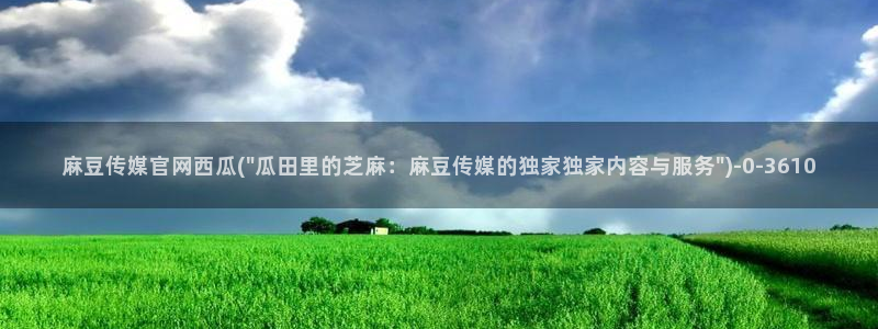 麻豆传媒