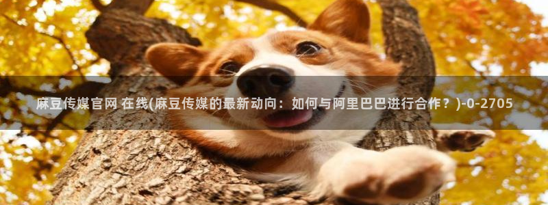 麻豆反转剧情