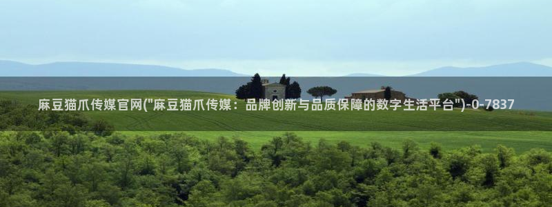 麻豆内容优化