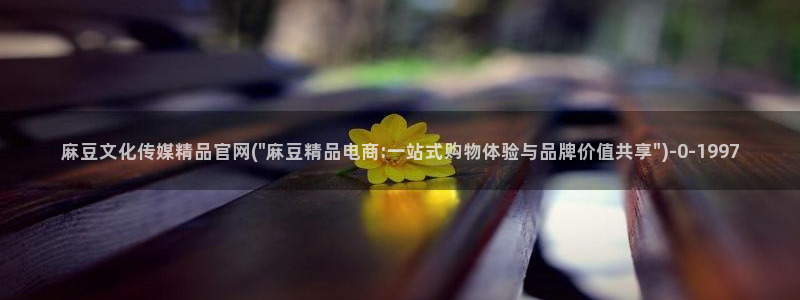 麻豆影视