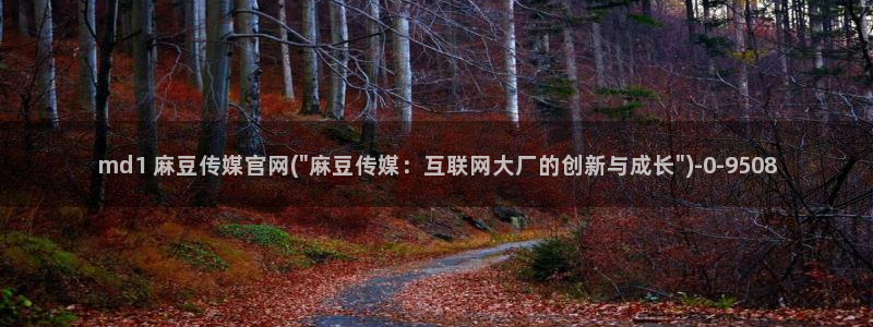麻豆视频分类名称