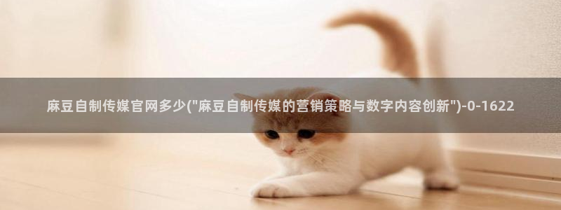 麻豆剧情解析