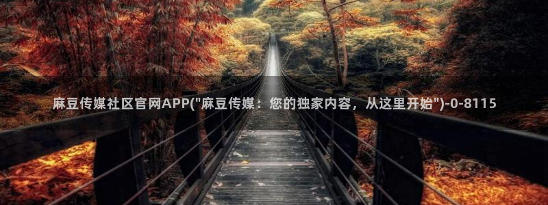 麻豆视频SEO词库