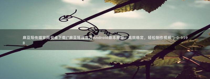 麻豆精选描述