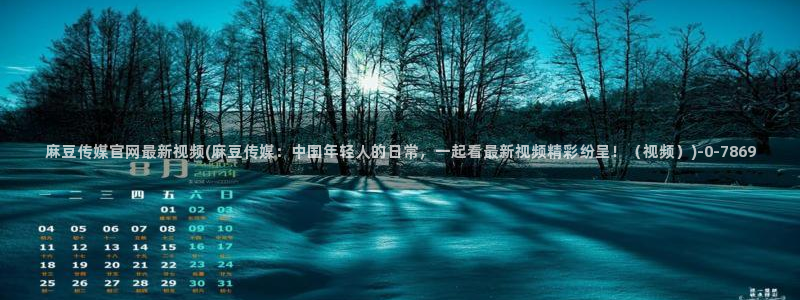 麻豆视频分类名称