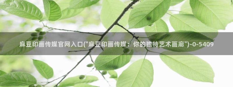 麻豆视频分类名称