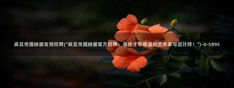 麻豆免费视频观看