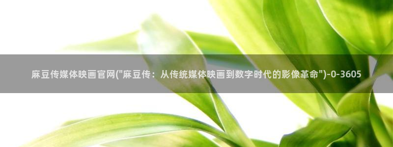麻豆视频资料维护