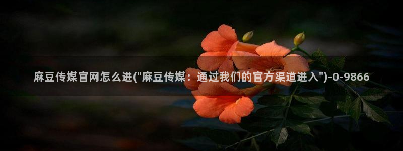 麻豆专题页