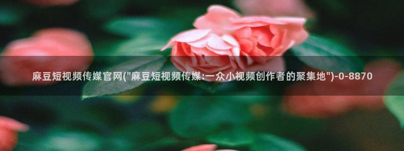 麻豆视频分类名称