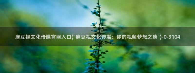 麻豆内容优化