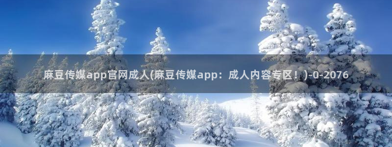 麻豆视频内容质量