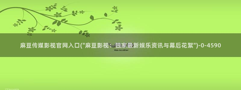 麻豆自定义库