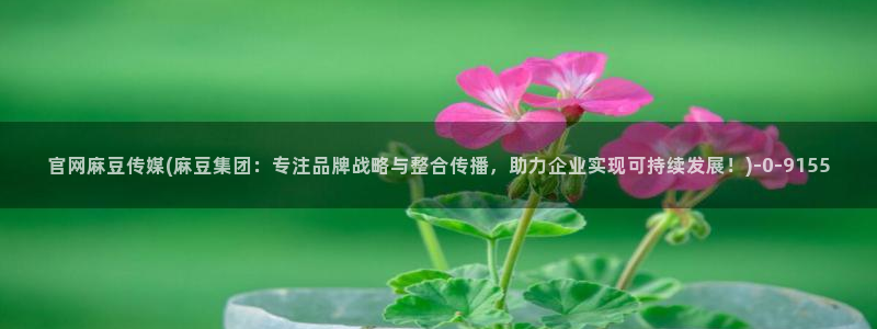 麻豆视频榜单
