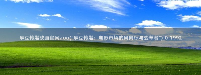 麻豆视频资讯文案