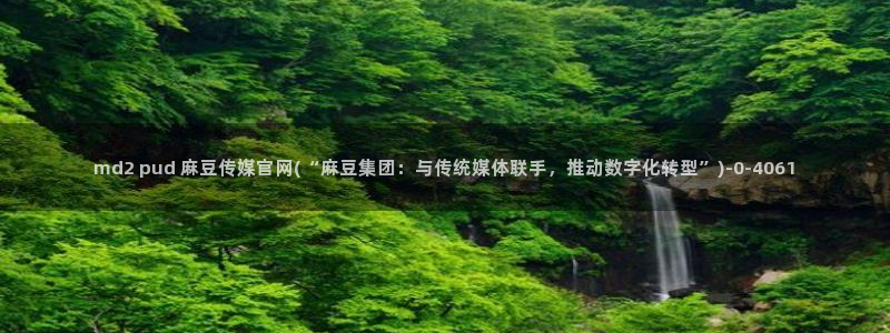 麻豆资源站模板