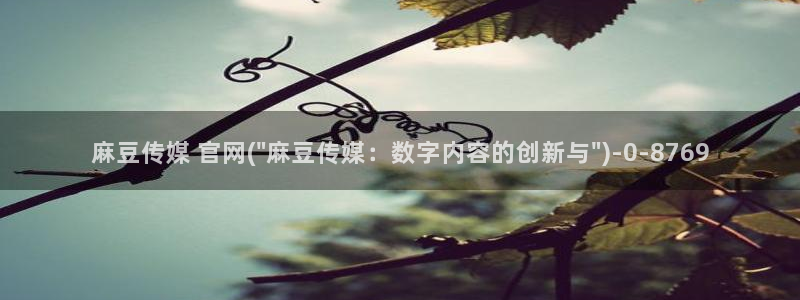 麻豆描述库