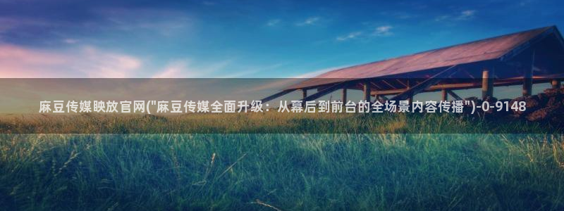 麻豆视频网站