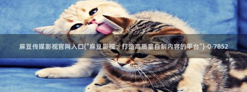麻豆入门指南